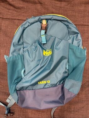 REI Tarn 12 Pack - Teal and Purple